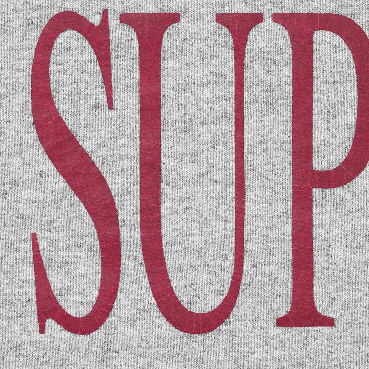 Supreme GREY Capital Hooded Sweatshirt