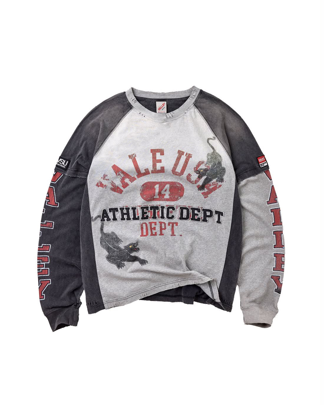 Valley dreams vale forever VARSITY LS