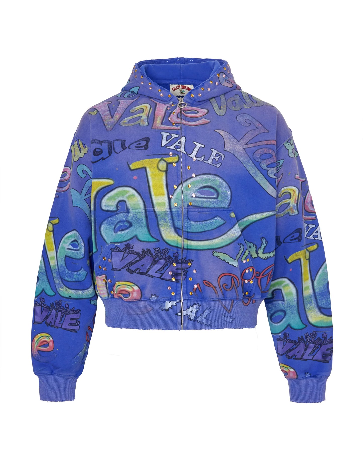 Valley dreams ICEBERG ZIP UP hoodie