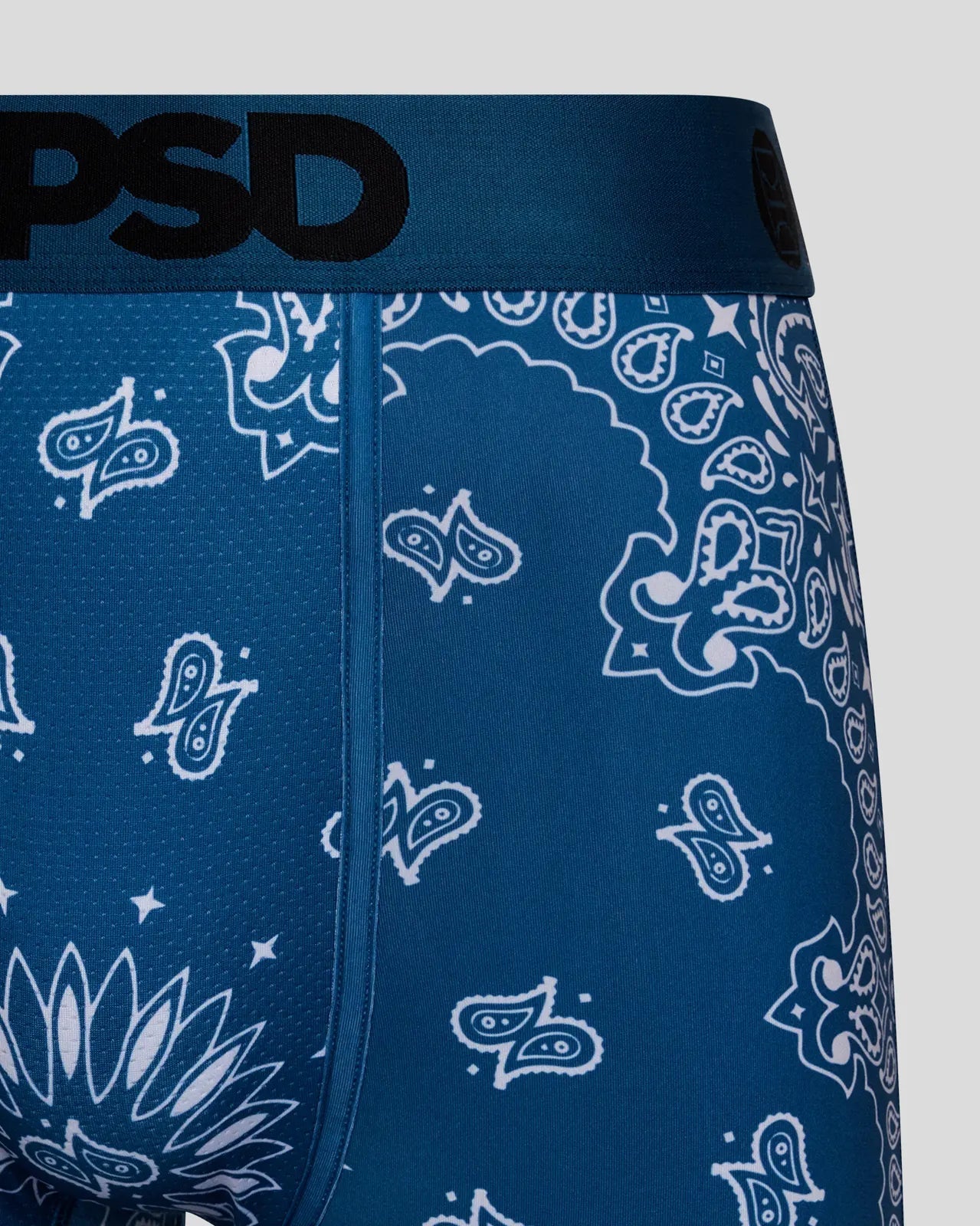 TEAL BANDANA -423180047