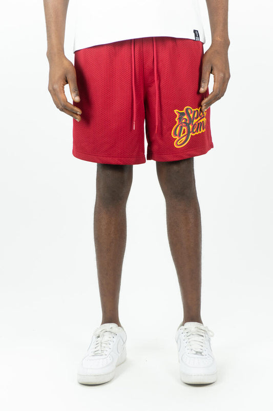 REBEL MINDS-SPEED DEMON MESH SHORTS-141-946
