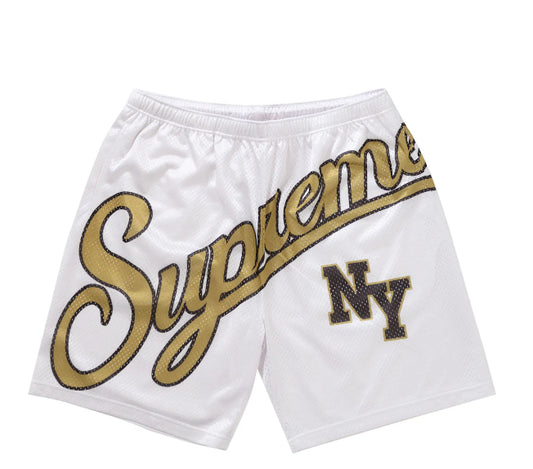 Supreme Men's Big Script Mesh Short