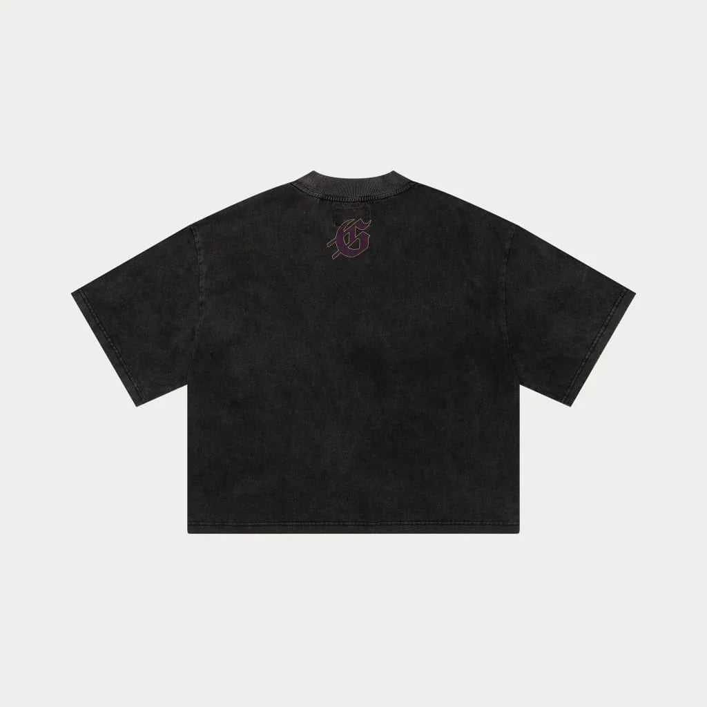 GODSPEED-WestWorld T-Shirt (Grey Wash)