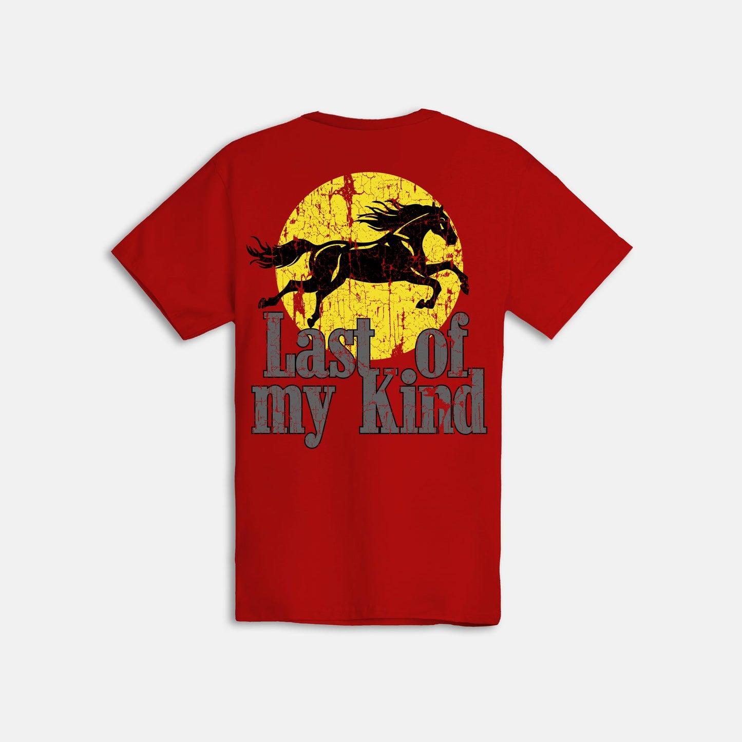 Outrank - LAST OF MY KIND T-SHIRT