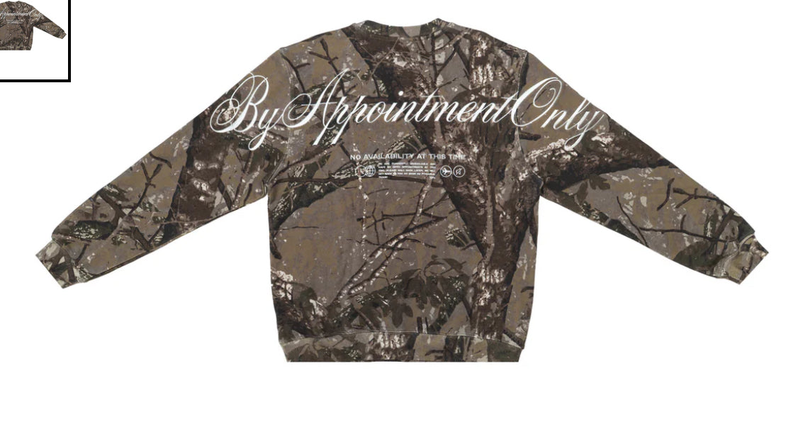 BY APPOINTMENT ONLY DO NOT DISTURB CREWNECK-BAO-FW25-012